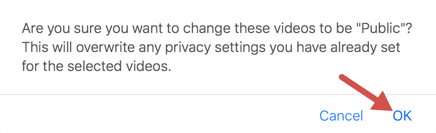 Pop-up explaining you are changing your video privacy settings