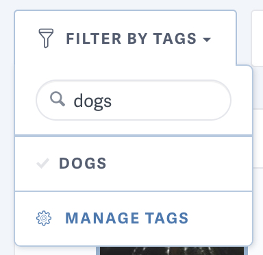 Searching tags for videos on SproutVideo