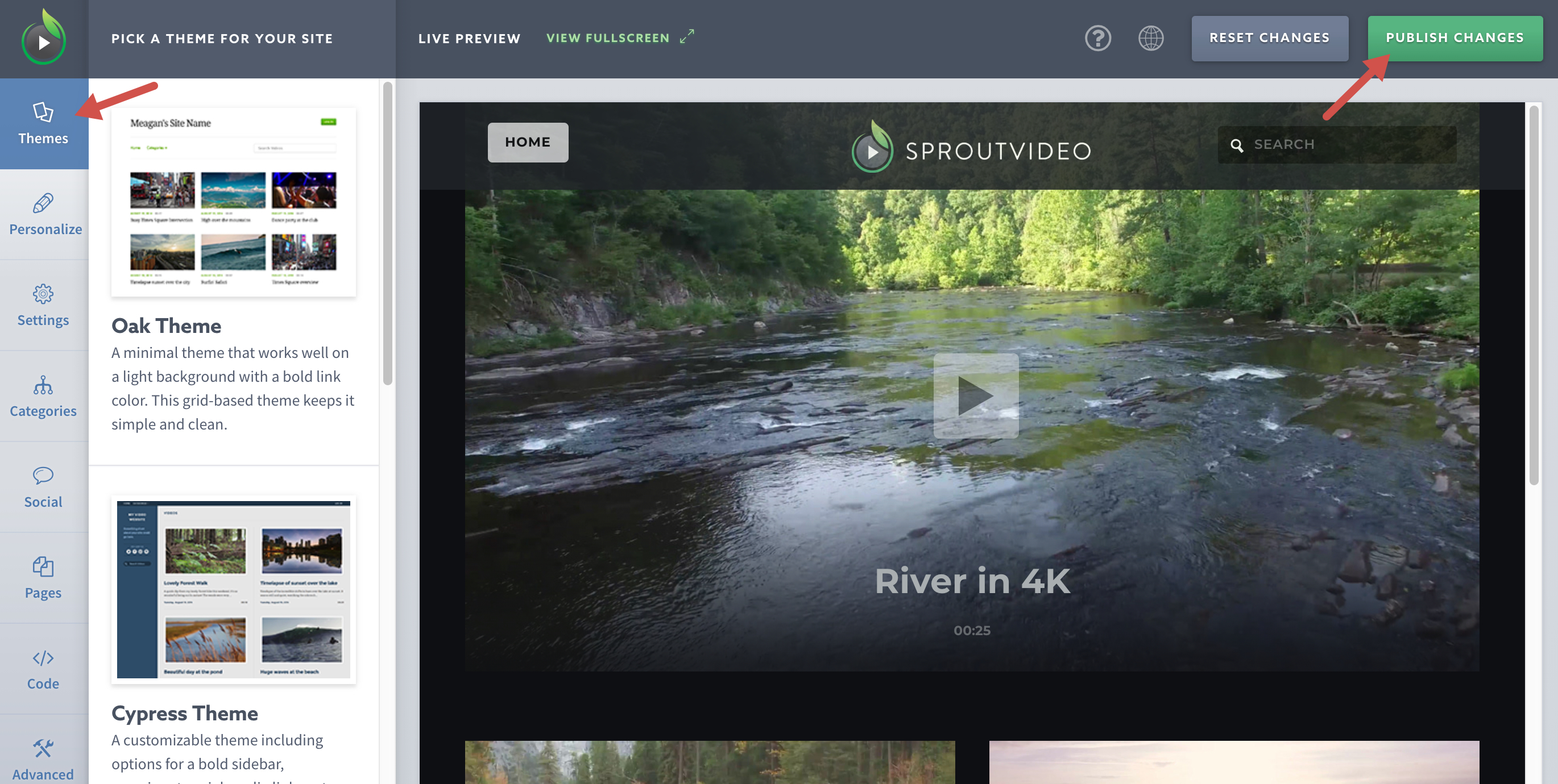 Pick a Theme for Your Video Website Hosted by SproutVideo