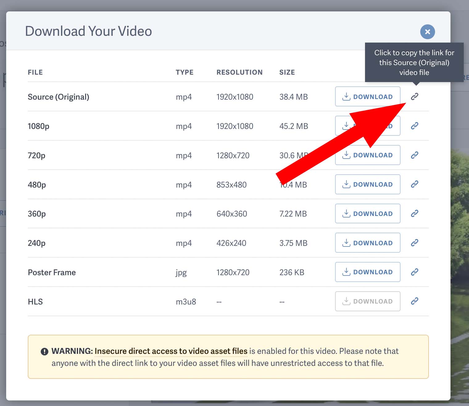 Click to copy the link for any video asset file from the download screen