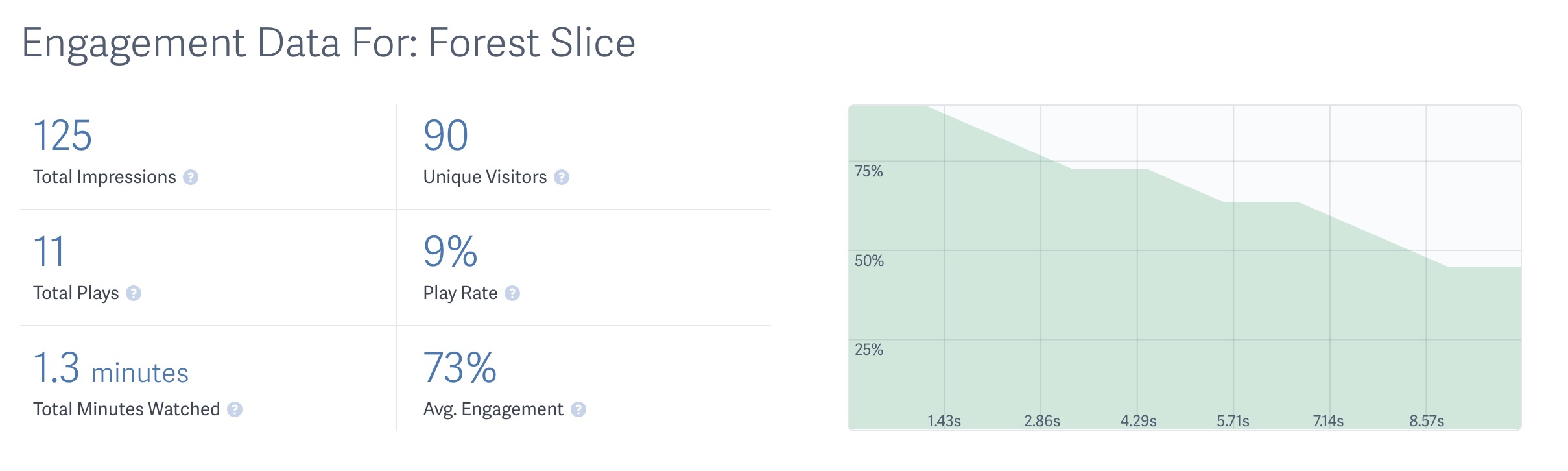 Video Engagement Data Summary Report